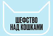 Котошеф